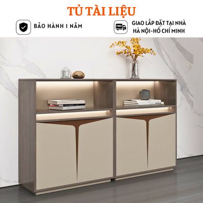 Tủ lưu trữ tài liệu, tủ hồ sơ văn phòng nhỏ gọn thiết kế mới HB410